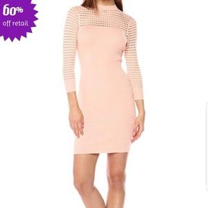 Guess Alison Pointelle Sweater Dress NWT